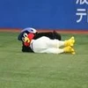 新里豪