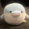 てんとう虫博士