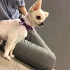 エウレカ