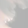 pi