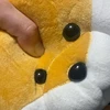 やんやんつけつけボーシ
