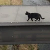 ナミサン