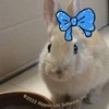 momo-usagi