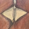 ここ