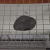 あき