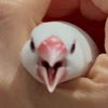 モコ2