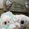 こじろう