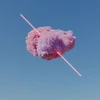 Sonnenblume
