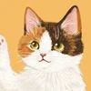 あーさん
