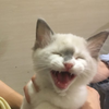 nana