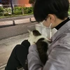 り