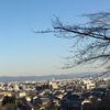 七海