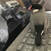 ぶんざえもんさん