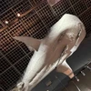 つばきまち