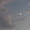 二十二