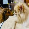 りくと