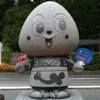 nori5825