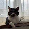 ちひろ