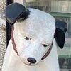 りさ