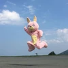 ナホ