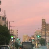 失去的白日梦