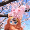ま