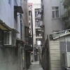 健康な犬