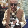 青い熊