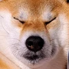 にゃお