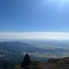ななみん