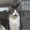 しりまる