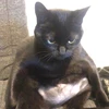 れんれん