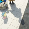 まんまるのおさかな