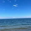 な