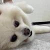 sora.sora.0615