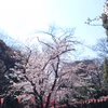 武田