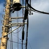 kawamata_ss