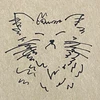 きっと猫