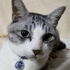 siksan