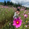 しみてる