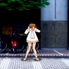 寛容な柴犬