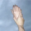 華月