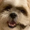 waaa_0