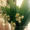 flowercatart
