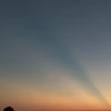 た