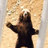 あんまん