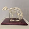 ユパ