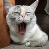 りゆ