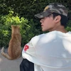 なすび