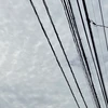 新野